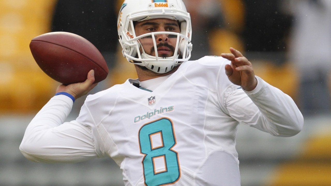 Who is Dolphins QB Matt Moore?